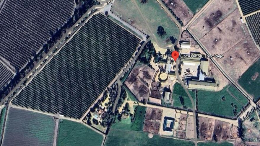 El retraso "hiperextraordinario" del juicio permitió a los terratenientes evitar la cárcel pese a saquear agua en Doñana