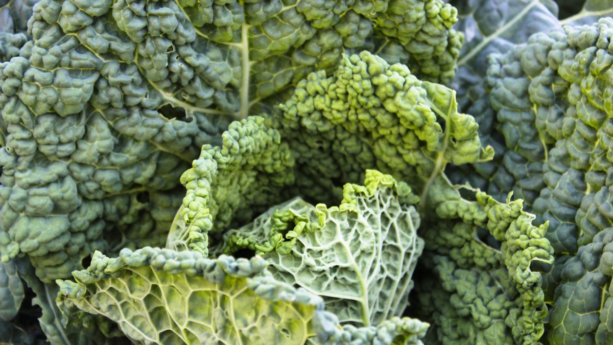 Cómo se cocina el kale y tres recetas para disfrutar de este ingrediente versátil y nutritivo