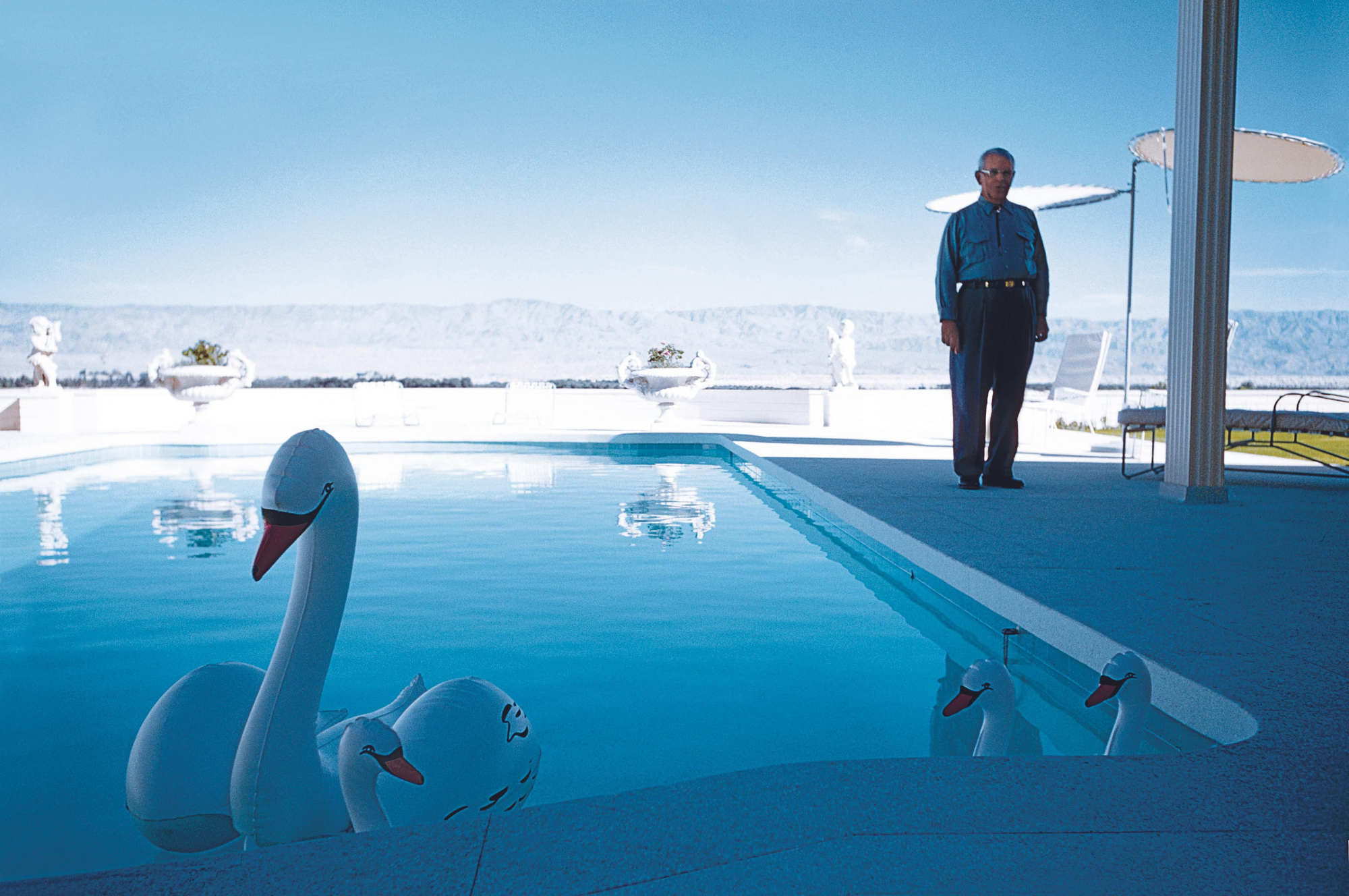 'Les cygnes gonflables'