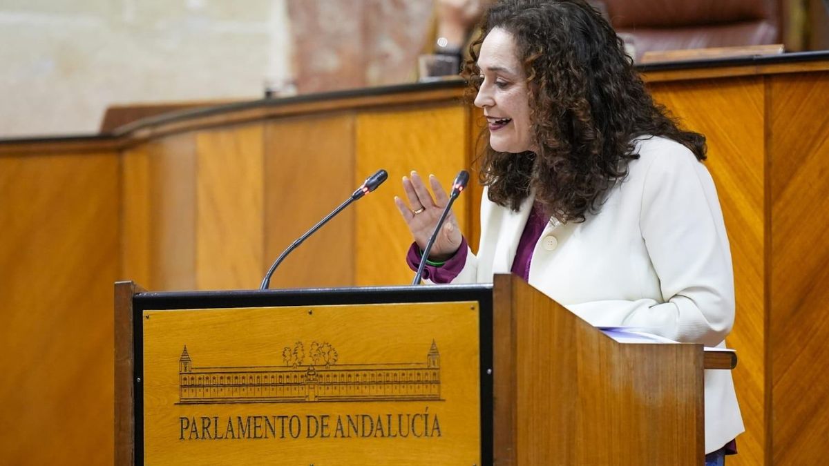 Inmaculada Nieto, portavoz de la coalición de izquierdas Por Andalucía.