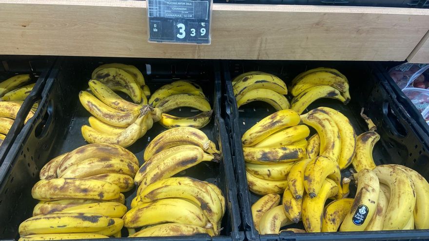 El precio del plátano sigue sin techo: el consumidor paga  hasta cuatro euros/kilo y el agricultor ya cobra hasta 1,5