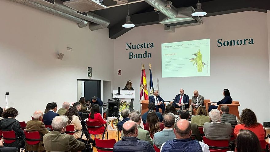 El sector del olivar cierra campaña con una producción récord de más de 145.000 toneladas en Castilla-La Mancha