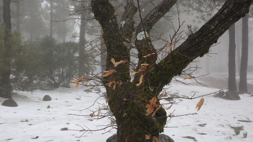 Nieve en la cumbre de Gran Canaria por la borrasca Celia