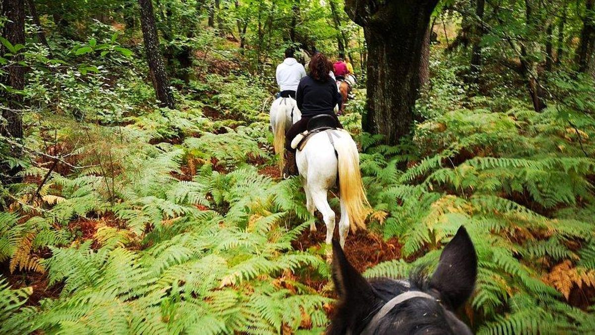 Es una zona donde se organizan excursiones guiadas que permiten conocer la sierra desde una perspectiva a lomos de caballos