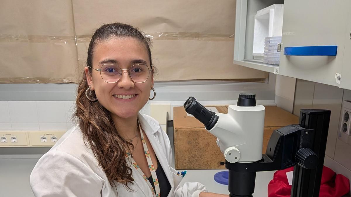 La Universidad de Zaragoza logra un avance en inmunoterapia: nuevas vías en el diagnóstico y tratamiento del cáncer