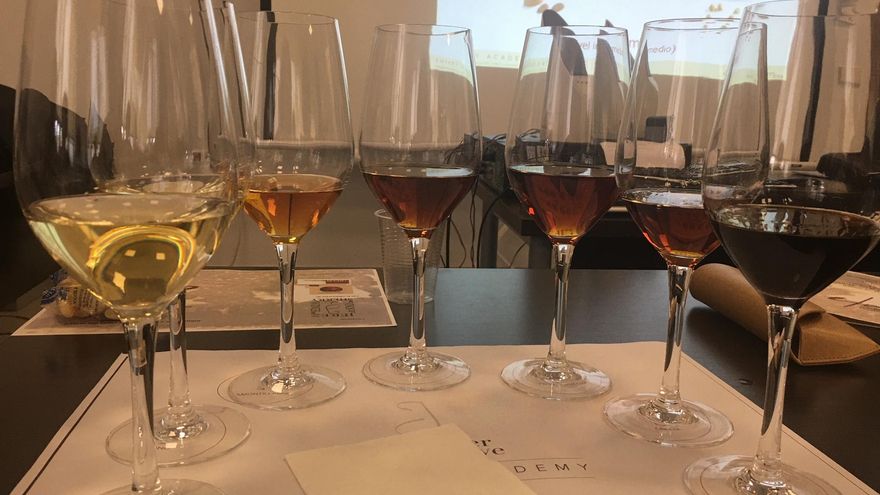 El vino de Castilla-La Mancha se vende bien “porque los viticultores están adaptando sus viñas al consumidor”