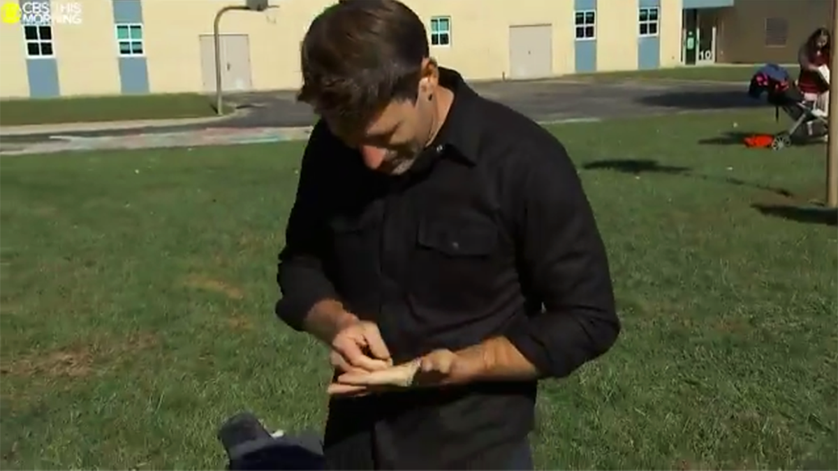 Un reportero de CBS sufre la picadura de una abeja por no hacer caso a su productor: "No te muevas"