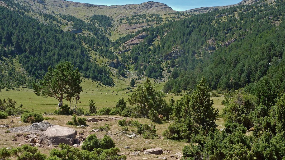 La ruta discurre por un profundo cañón rocoso esculpido a lo largo de milenios