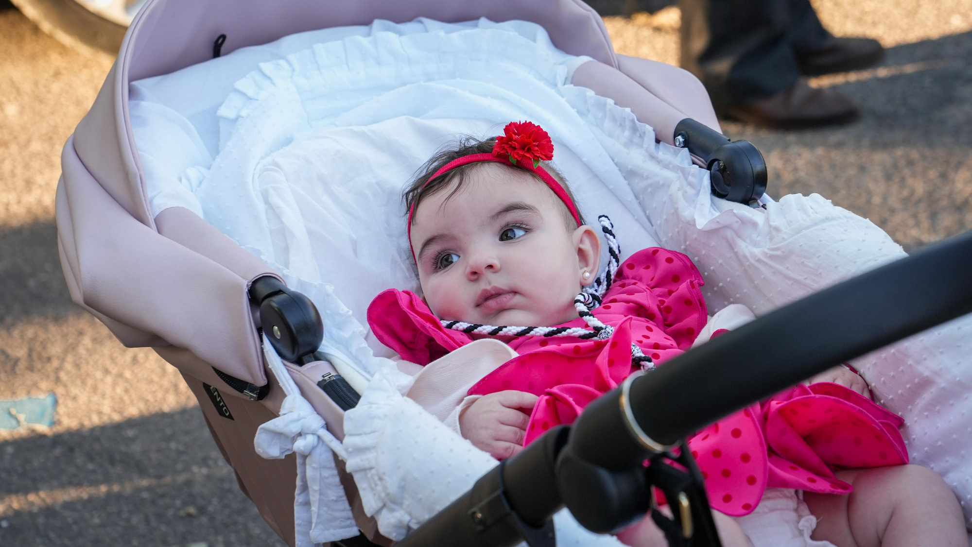 Romería de Santo Domingo