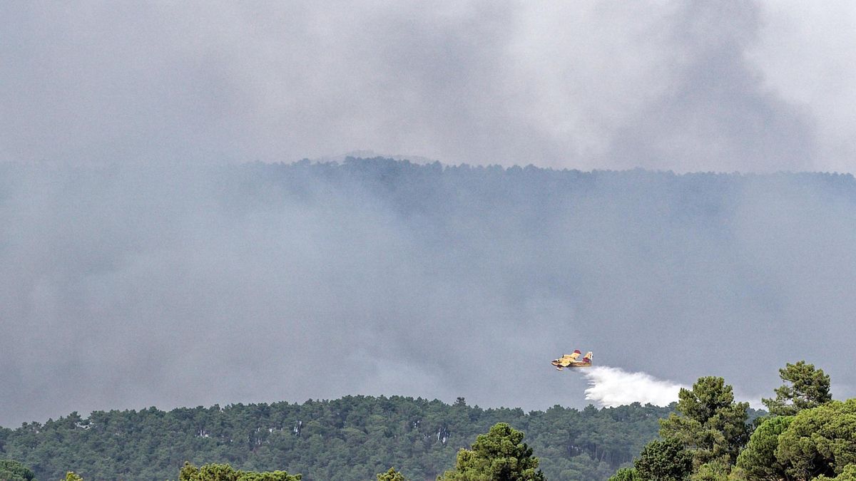 Incendio en Las Navas del Marqués, en Ávila