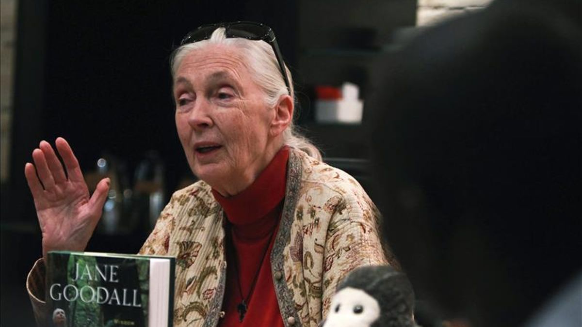 "Tarzán se casó con la Jane equivocada": cómo la lectura convirtió a Jane Goodall en una referente en el estudio y protección de los chimpancés