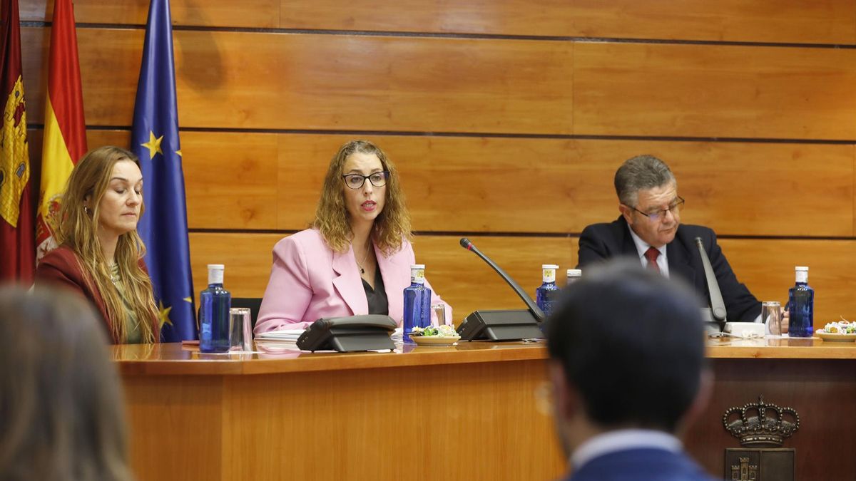 Comisión de Igualdad en las Cortes