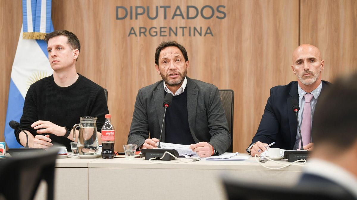 Maximiliano Ferraro, el presidente de la comisión LIBRA