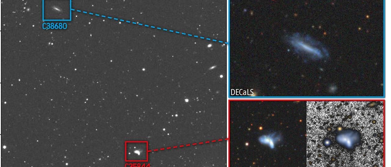 Imagen de un raro par de galaxias enanas en interacción, observado por el proyecto CAVITY. Las dos galaxias protagonistas, CAVITY35843 y CAVITY35844 (recuadro rojo), muestran signos claros de interacción, como núcleos brillantes y colas de marea. También se observa una tercera galaxia, CAVITY38680 (recuadro azul), situada a una gran distancia del par principal y que podría haber desencadenado la fusión. Las imágenes proceden de los telescopios Isaac Newton (INT) y del sondeo DECaLS.