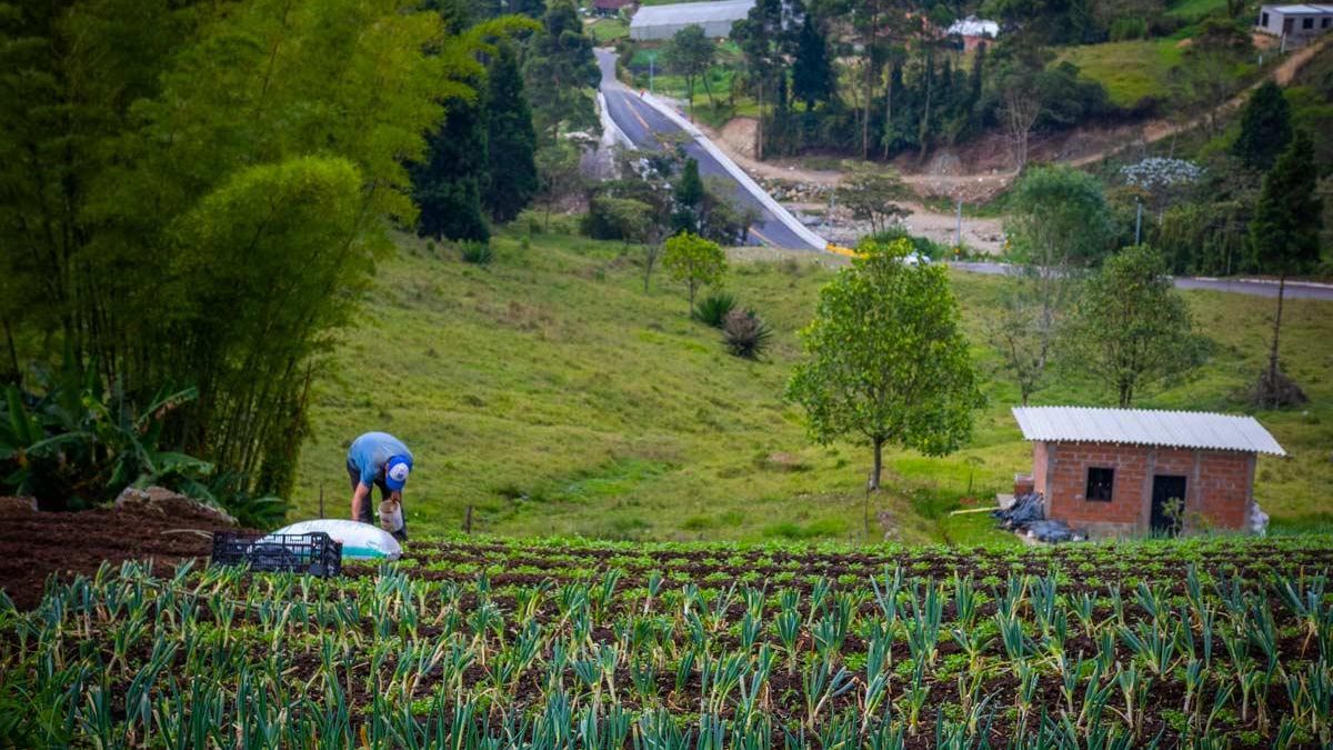 Menos comida y más cara: El Niño amenaza los alimentos y la pesca en Latinoamérica