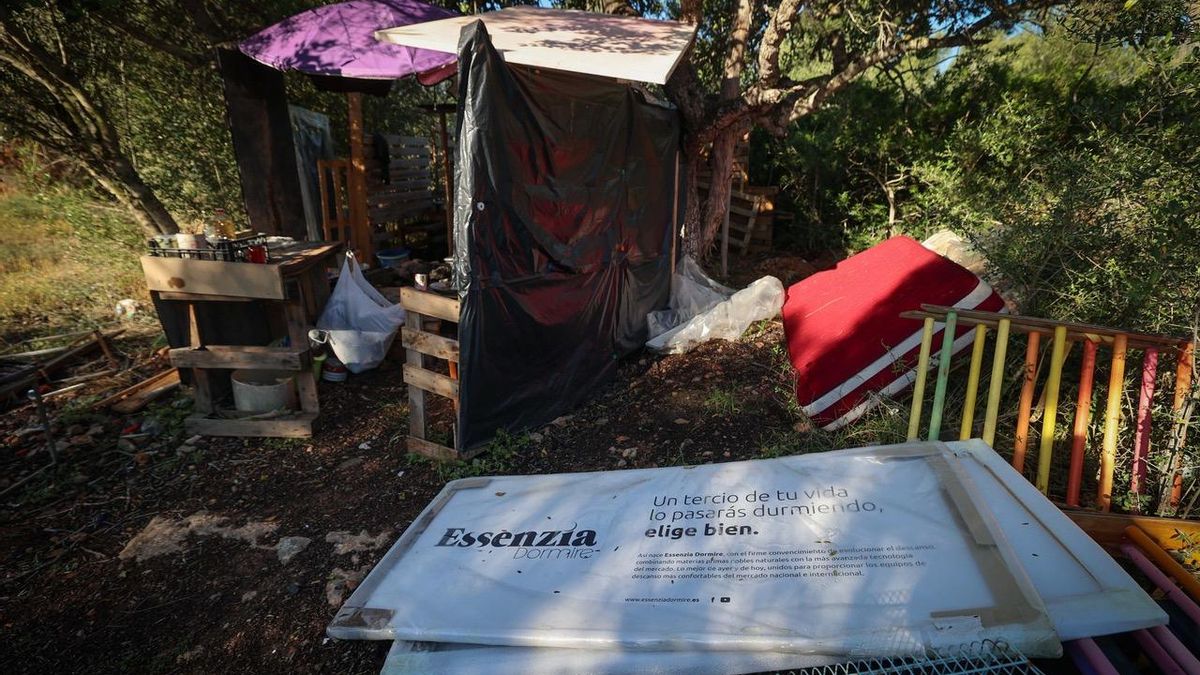 El terreno okupado está lleno de árboles y maleza, el riesgo de incendio se multiplica.
