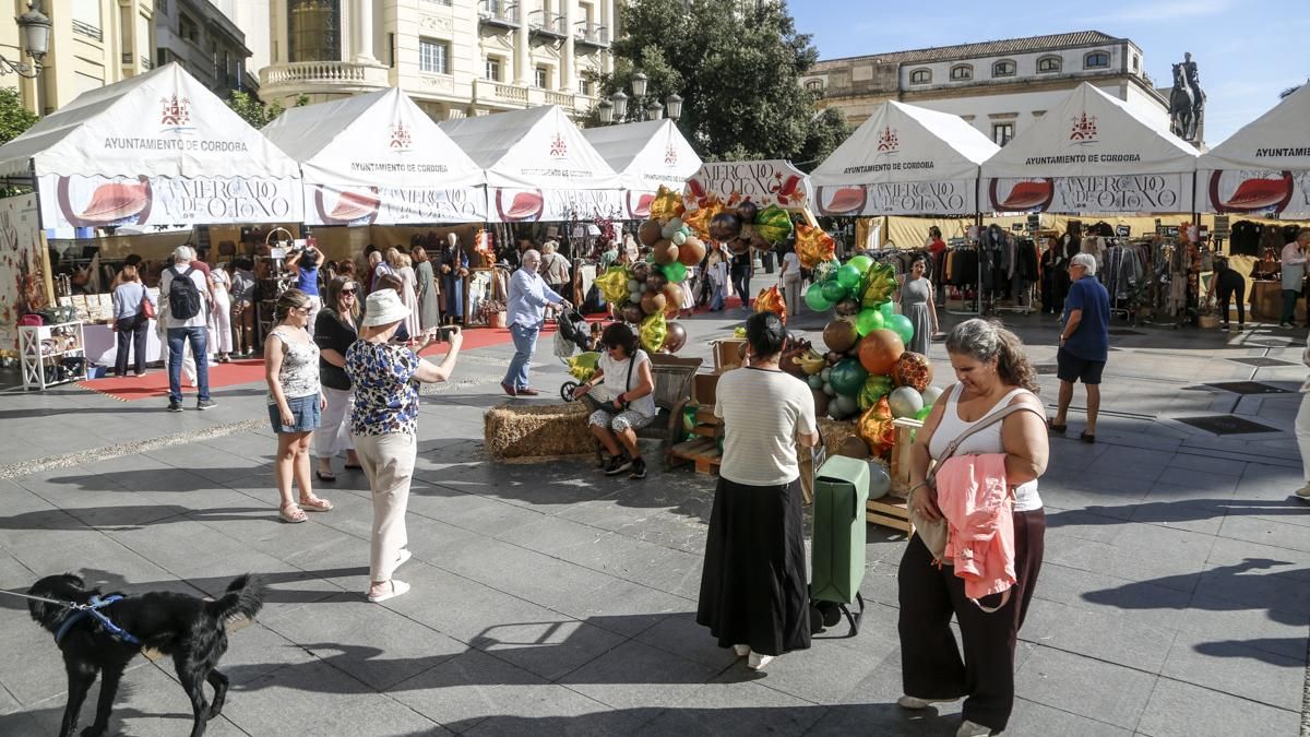 Mercado de otoño 2026