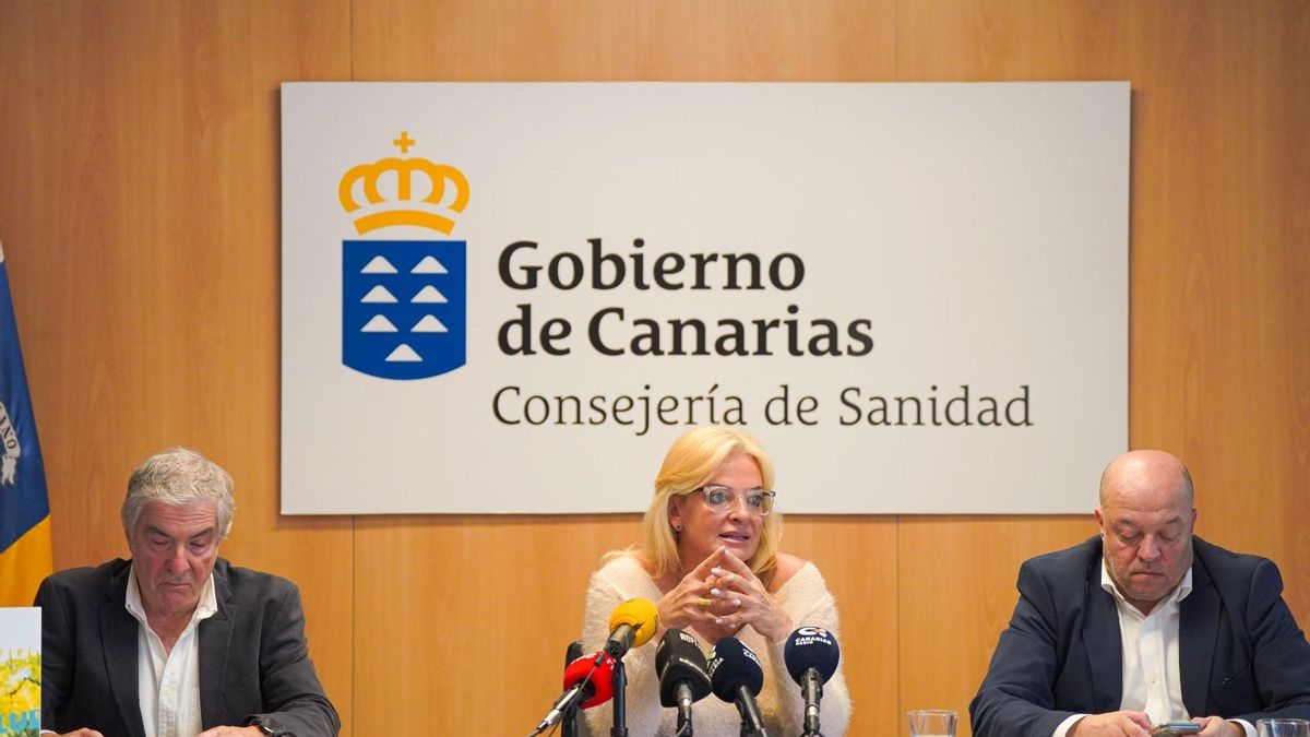 La consejera de Sanidad del Gobierno de Canarias, Esther Monzón, el director general de Salud Pública del Servicio Canario de la Salud (SCS), José Díaz-Flores, y el jefe de servicio de Promoción de la Salud de esta Dirección General, Juan Manuel Méndez.