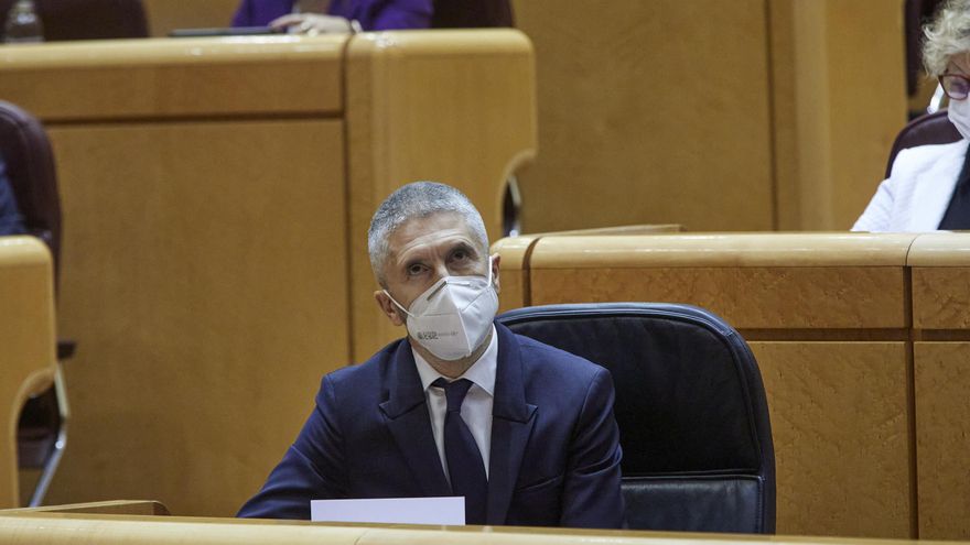 Archivo - El ministro de Interior, Fernando Grande-Marlaska, durante una sesión de control en el Senado