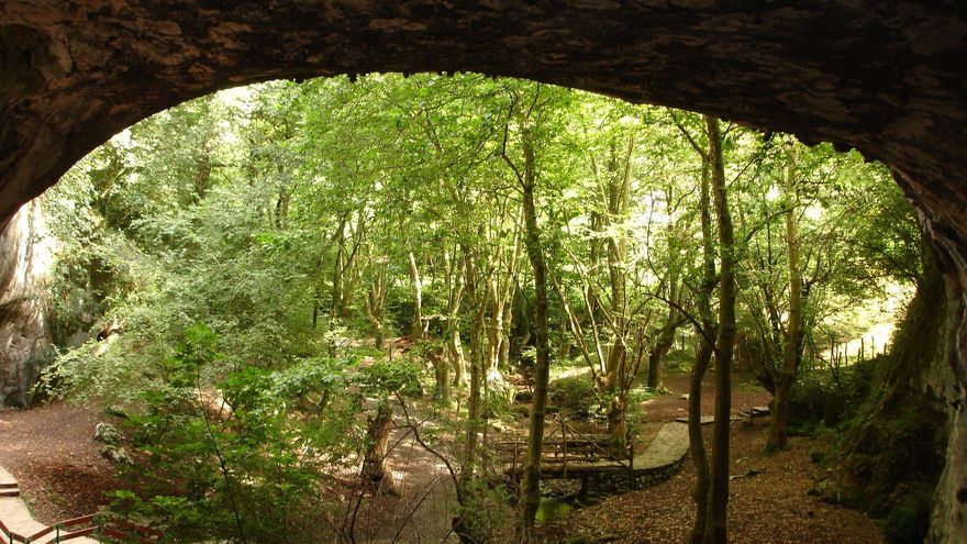 Esta semana se celebra el Día Internacional de los Bosques: ¿Te atreves a conocer los más misteriosos?