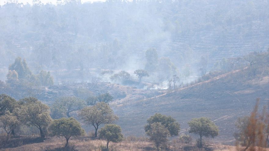La estabilización del fuego en Huelva tras arrasar más de 5.000 hectáreas permite volver a sus casas a los 96 evacuados