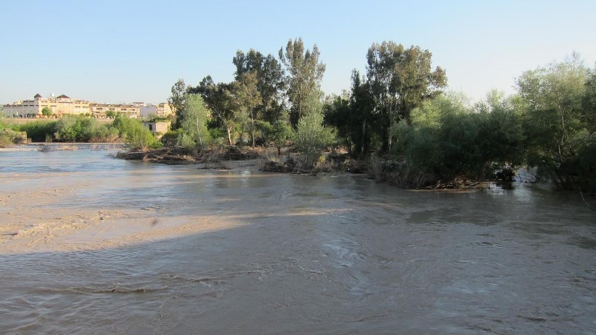 UPA-A se reúne con la Unesco y Ramsar en Doñana para pedir la paralización del dragado del Guadalquivir