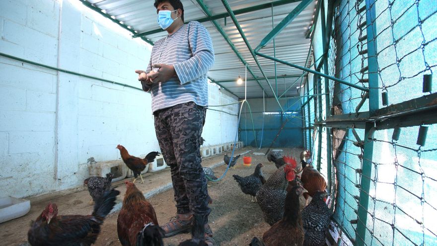 Huerto y animales para aligerar la tristeza de los migrantes en Ciudad Juárez