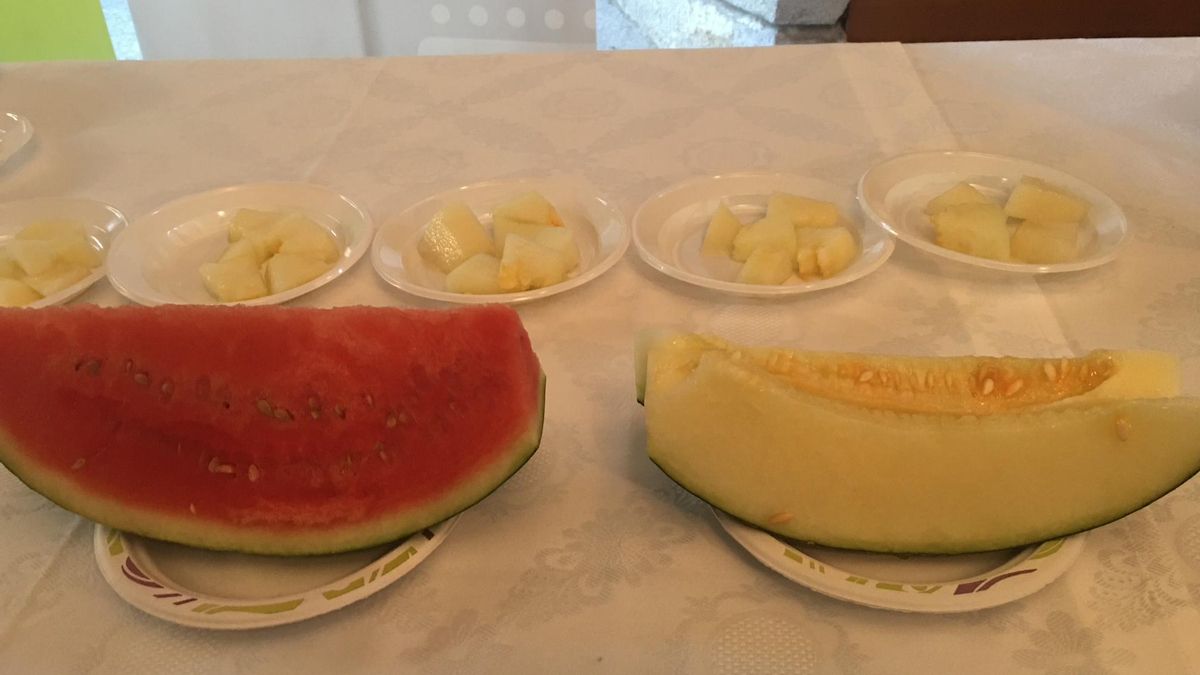 Sandía y melón de La Mancha