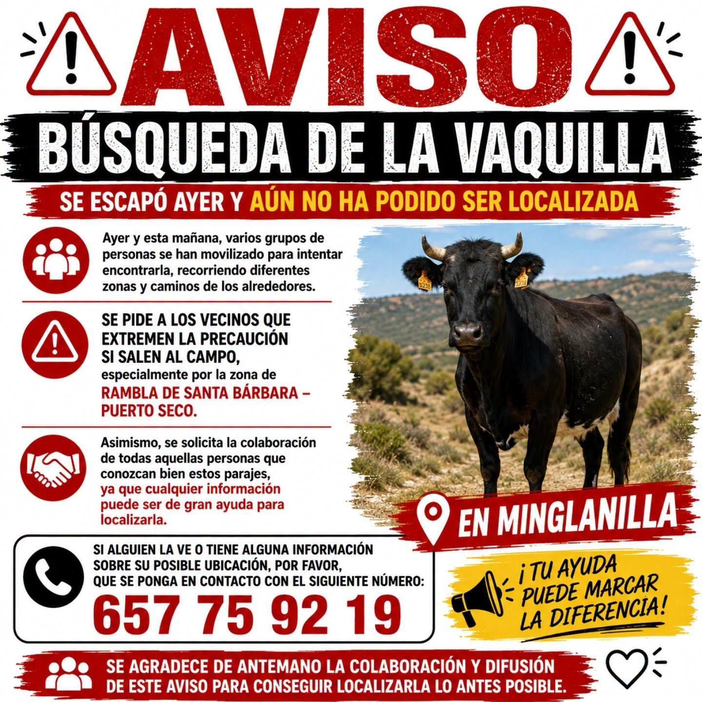 Cartel con información sobre la búsqueda de una vaquilla que se escapó durante los encierros de Minglanilla