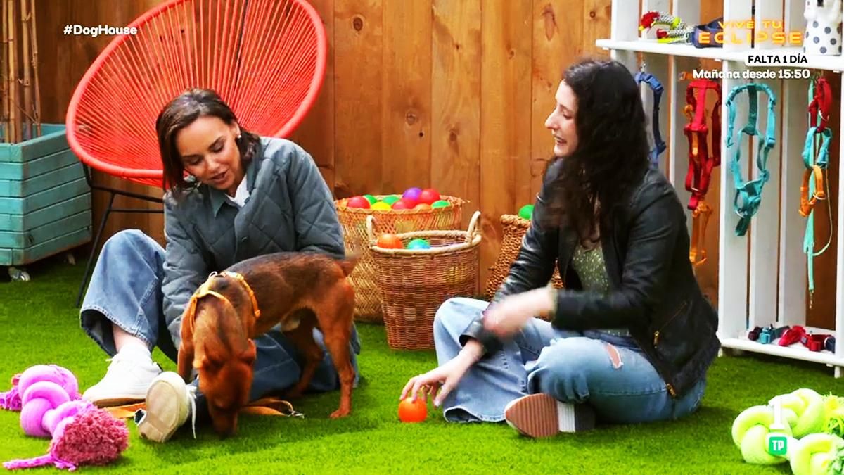 'Dog House' vive un "ataque de amor" a Chenoa y refleja el poder terapéutico de los perros: "Le ha cambiado la cara"