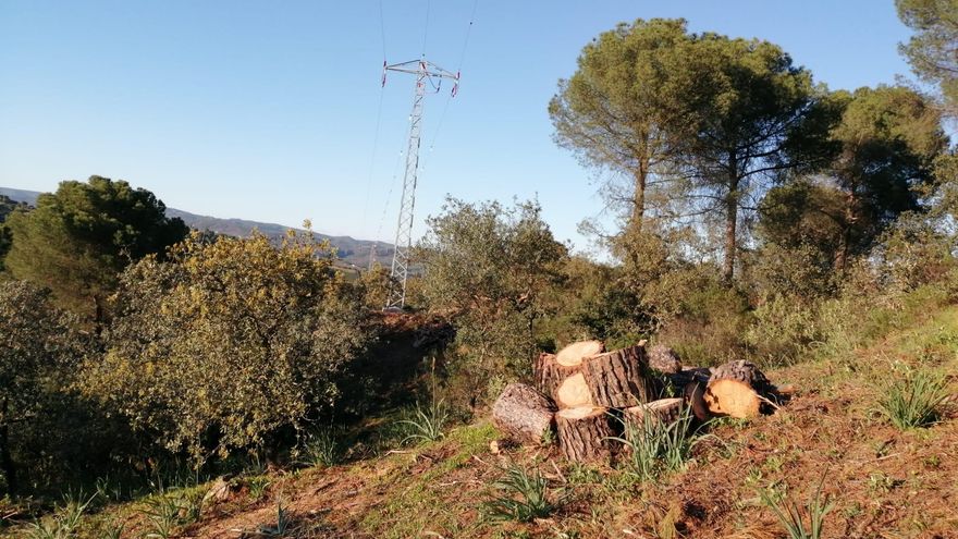 Zona en la que se ha actuado