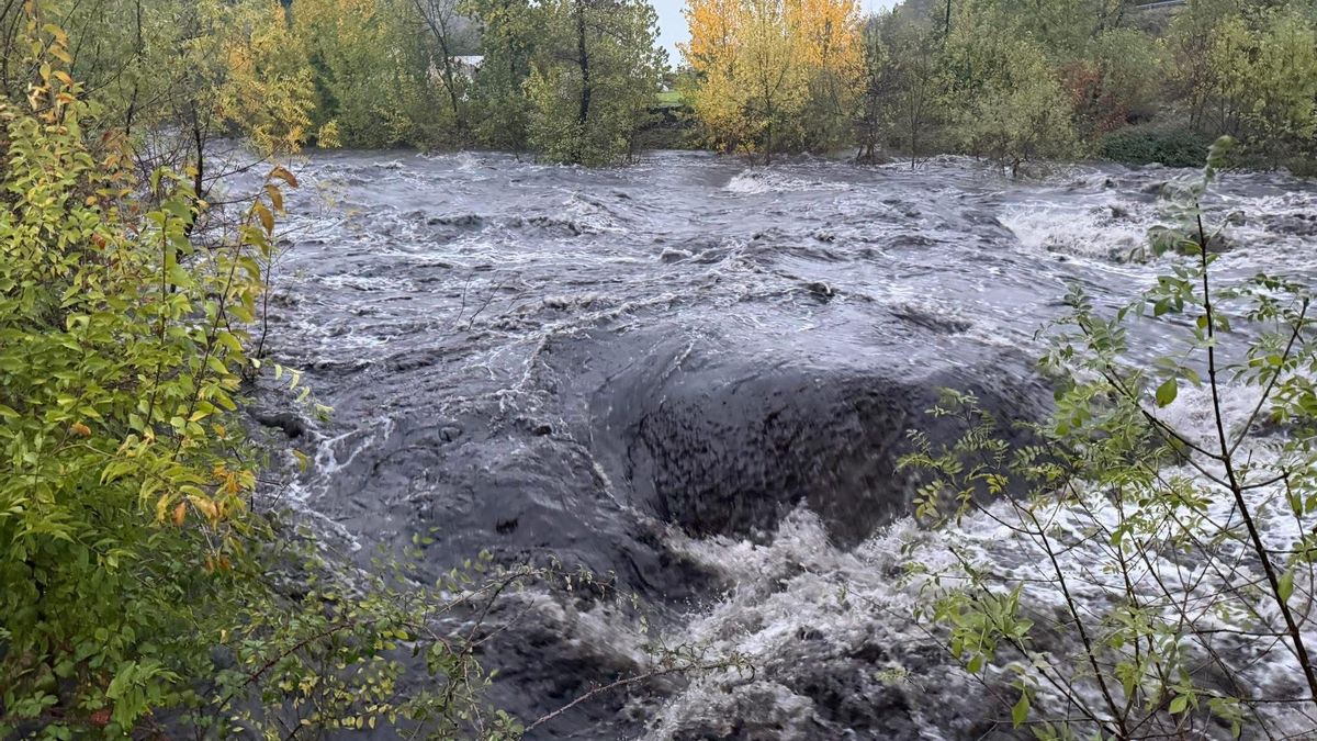Las cenizas de los incendios de verano llegan al agua potable de Plasencia