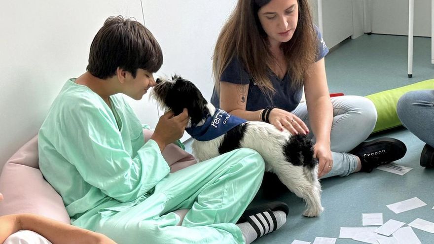 Un hospital de Barcelona incorpora a estos perros a una terapia para adolescentes con trastornos de salud mental