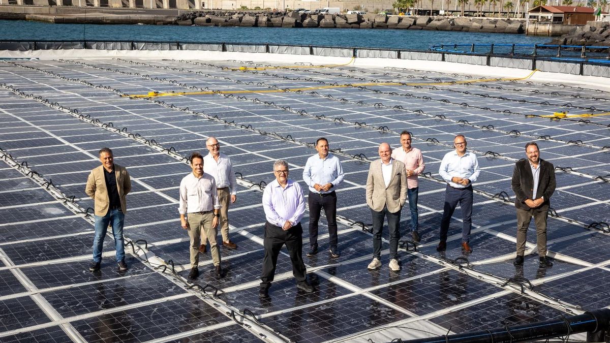 Inauguración de la mayor plataforma de energía solar flotante de Europa en La Palma, este jueves, en el Puerto de Tazacorte.