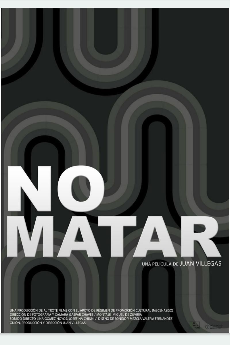 "Villegas trata de despegarse de las etiquetas que más rápidamente le cayeron, como la de dos demonios o de “memoria completa”, sostiene la autora sobre "No matar".