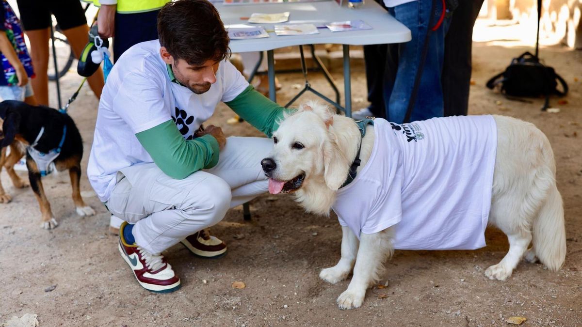 La Guardia Civil confirma que el concejal de Bienestar Animal de València pidió investigar al refugio de animales que pierde la concesión en tres días