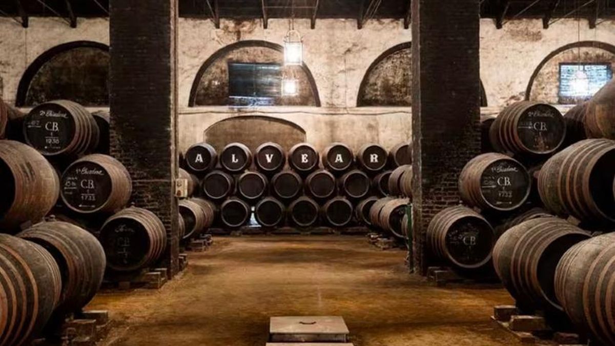 Interior de Bodegas Alvear.