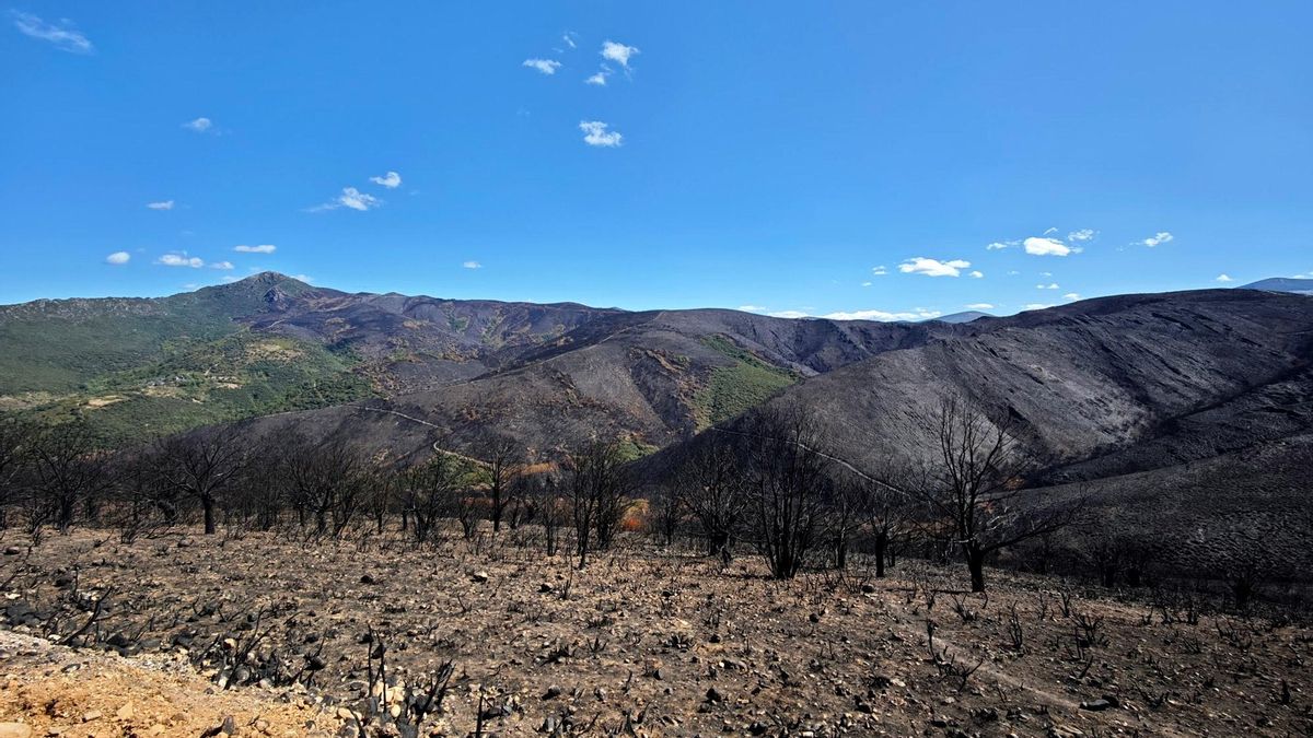 Incendios forestales y prevención en León