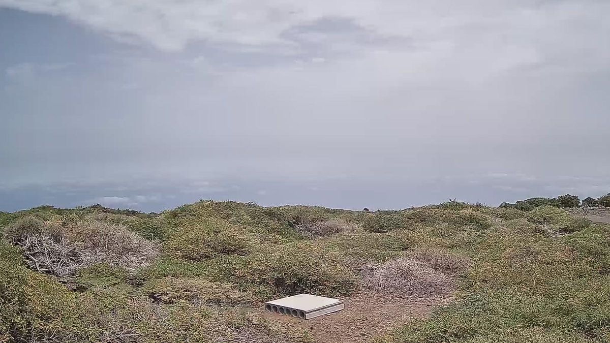 Temperaturas en ascenso este viernes en La Palma: en las cumbres se pueden alcanzar 34 grados