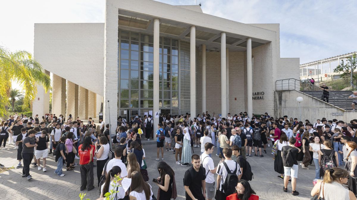 La universidad pública: entre el mérito y la degradación institucional