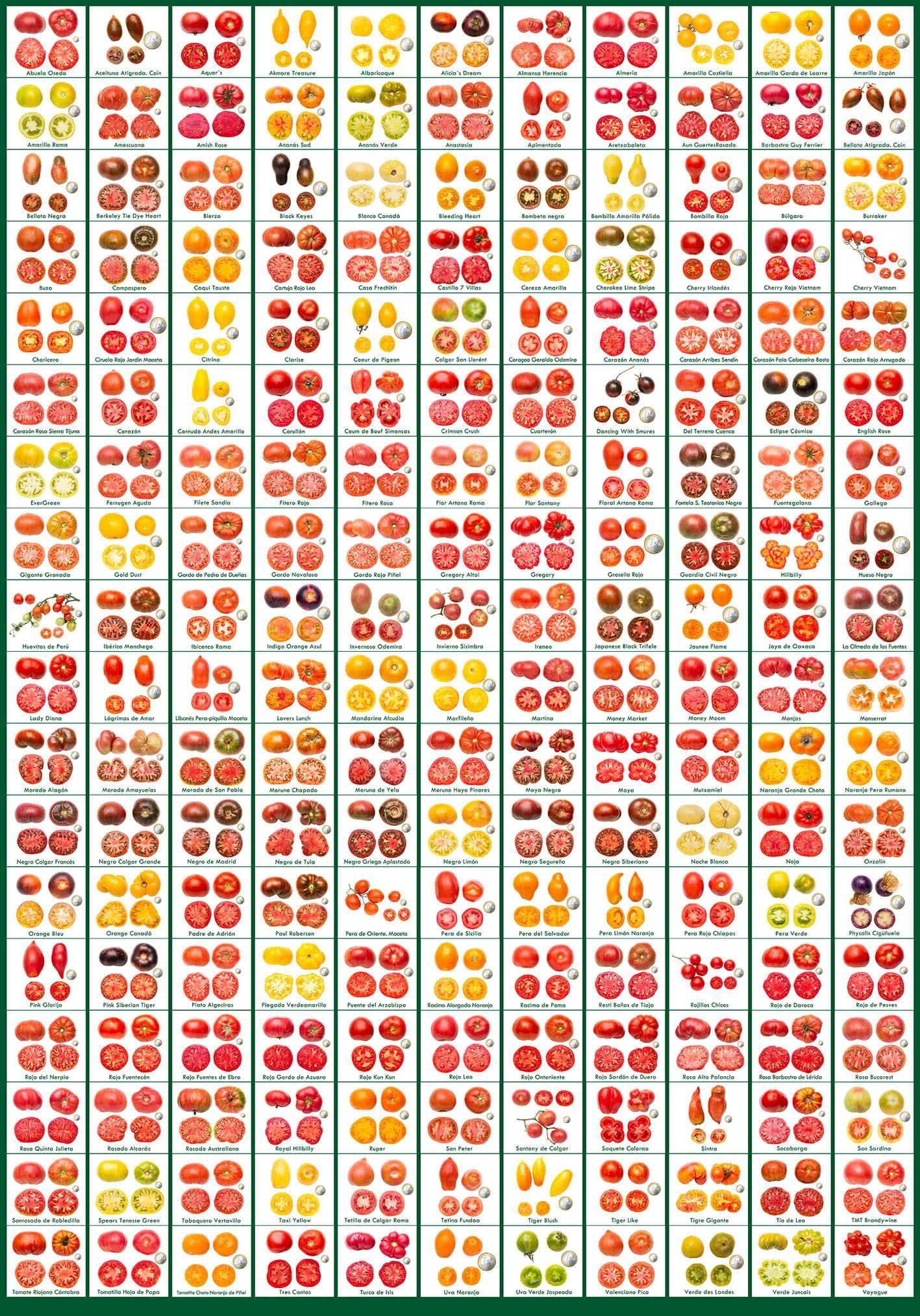 Tabla de tipos de tomates que Perote cultiva en Piñel de Abajo (Valladolid).