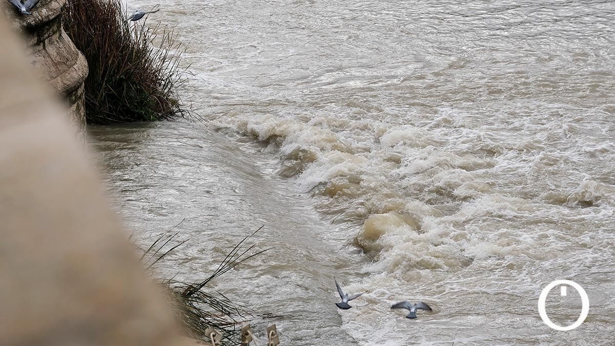 Así va el río Guadalquivir a su paso por Córdoba después de las últimas lluvias