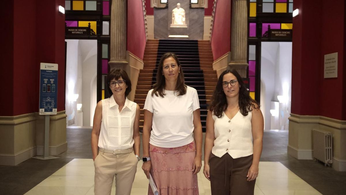 El trastorno por juego multiplica por más de 30 el riesgo de conductas suicidas en los hogares