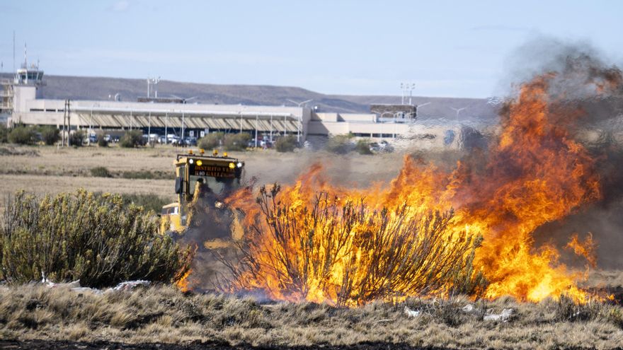 Incendios: declaran el estado de "emergencia ígnea" en todo el territorio nacional por un año