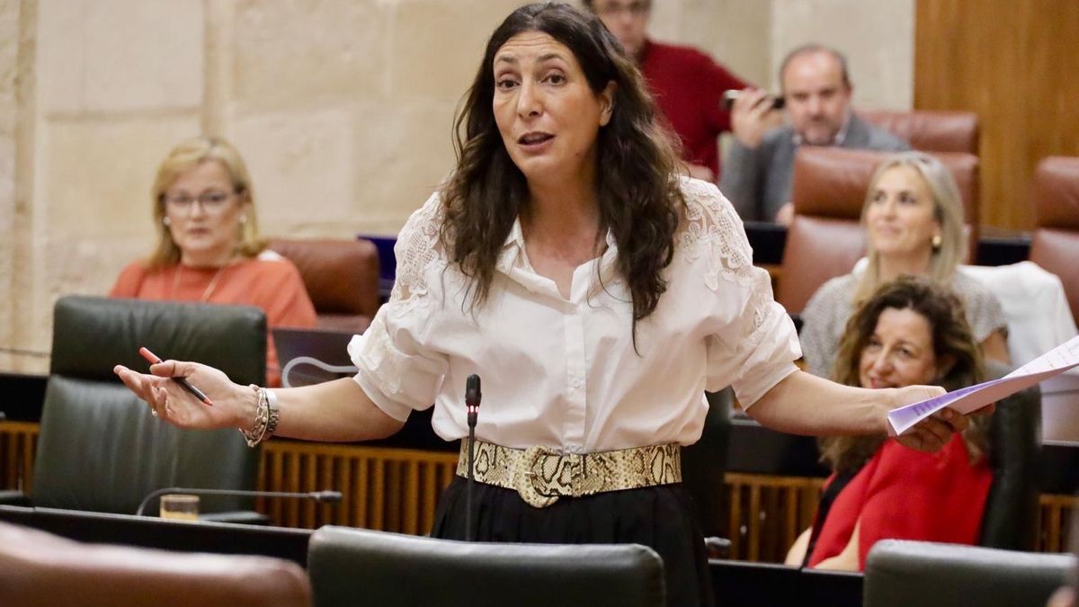 La consejera de Inclusión Social, Juventud, Familias e Igualdad, Loles López, en una reciente sesión plenaria.