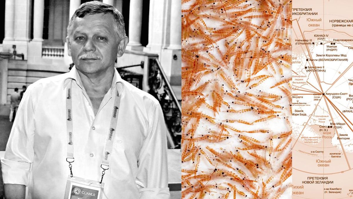 La fiebre por pescar un crustáceo antártico acaba con un científico arrestado por Rusia por alta traición