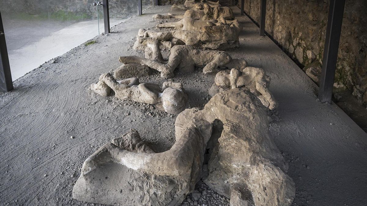 Los moldes del Jardín de los Fugitivos.