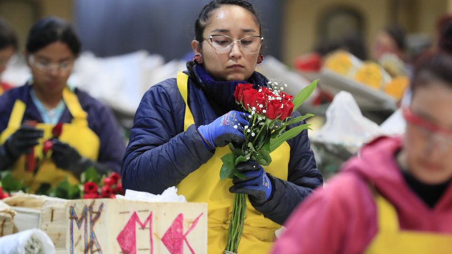La producción industrial en Colombia sube 1,6 % en marzo tras ocho meses en números rojos