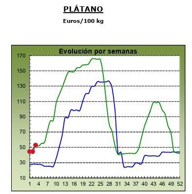 Evolución de los precios medios percibidos por el platanero canario en 2024 (marca azul), 2025 (verde) y 2026 (roja, hasta la semana 3).