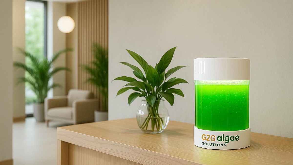 El mini fotobiorreactor de 3.5l forma parte de la gama Respirooh, diseñada para purificar el aire de interiores.